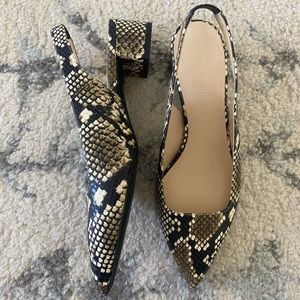 Everlane Editor Slingback Heel (Snake Print)